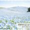茨城県の注文住宅相場
