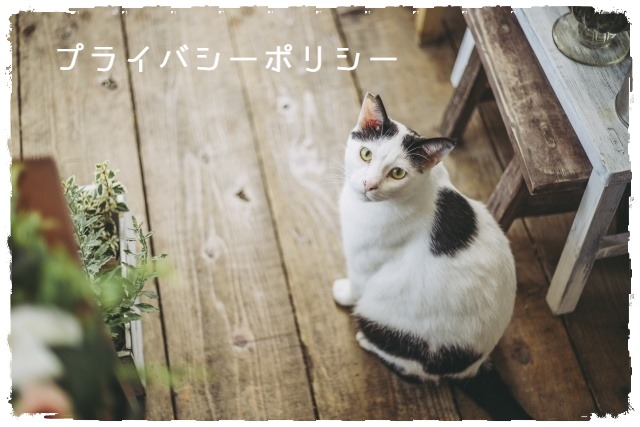 プライバシーポリシー